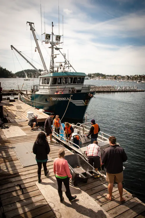 Fish swimming and biomechanics course at Friday Harbor Laboratories ([FHL](https://fhl.uw.edu/)), University of Washington.