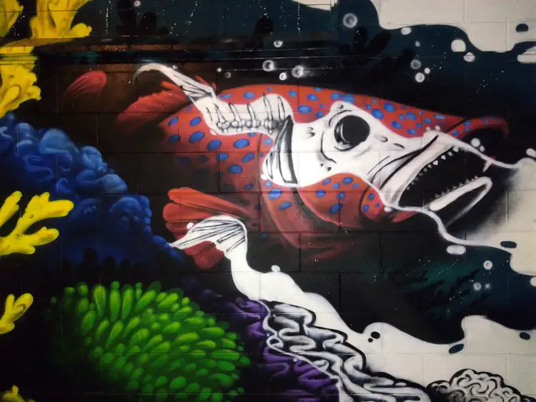 Street art in Cairns (Australia) visualizing effects of climate change on tropical coral reefs. Evil Bleach mural by [Daniel Wallwork](https://seawalls.org/mural/evil-bleach/).