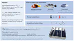 Critical thermal maxima of early life stages of three tropical fishes: Effects of rearing temperature and experimental heating rate